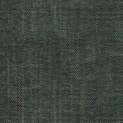 Sierra Conifer