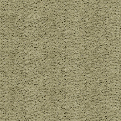 Arcata Moss