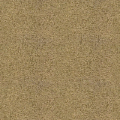 Miro Rust