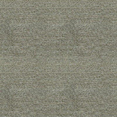 Safi Plain Moss