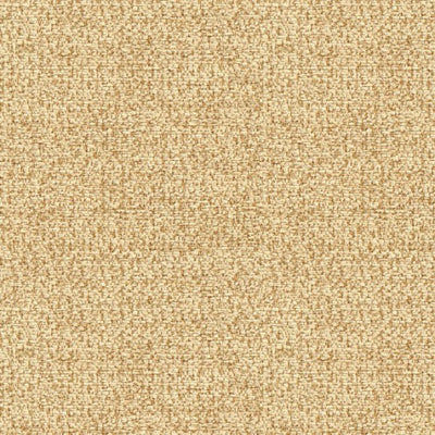 Boucle Oyster