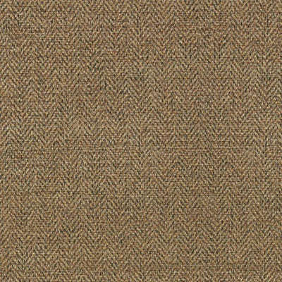 Montauk Plain Gold