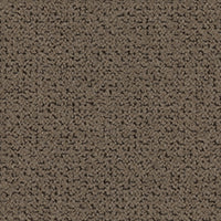 Marigold - Mole