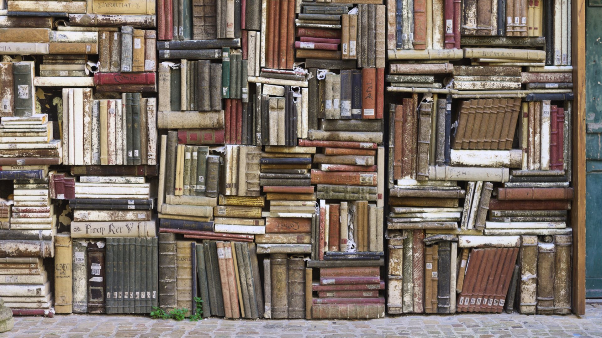 Novel Ways to Style a Bookcase