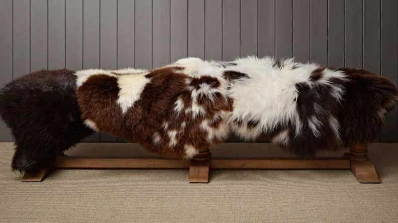 Luxurious Jacob Sheepskin Rugs: Find Out More About This Rare Breed