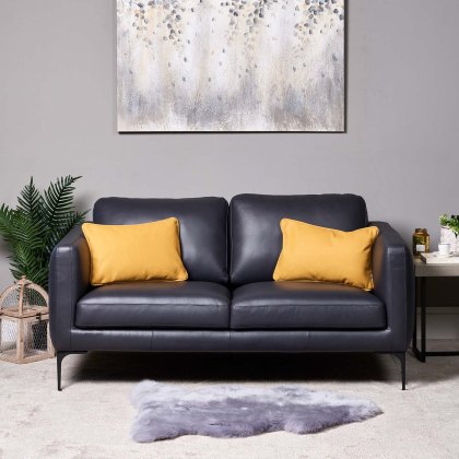 Leather Sofas