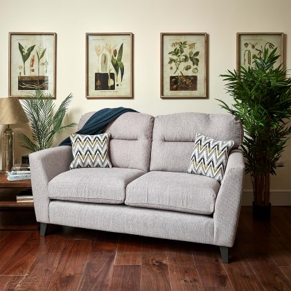 Cassidy 2 Seater Fabric Sofa - Dorset Silver with Oak Feet