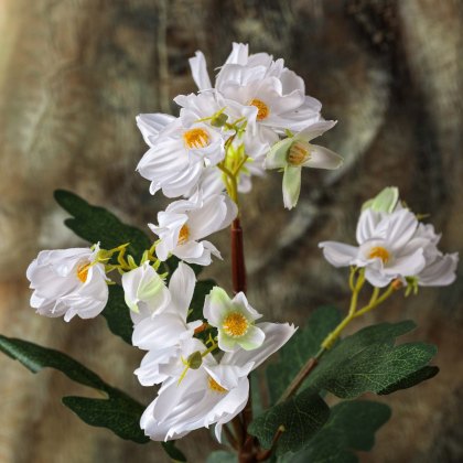 Cherry blossom Bonsai Tree 42cm