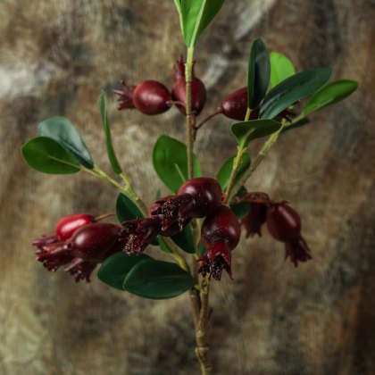 Pomegranate Flower Spray 48cm