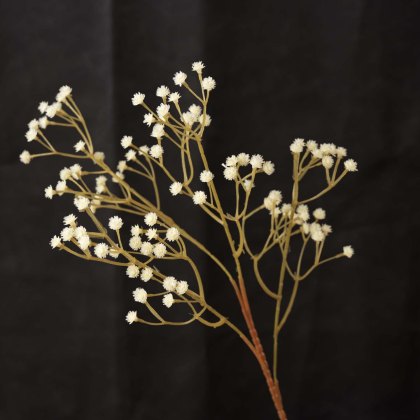 GYPSOPHILA spray 63cm