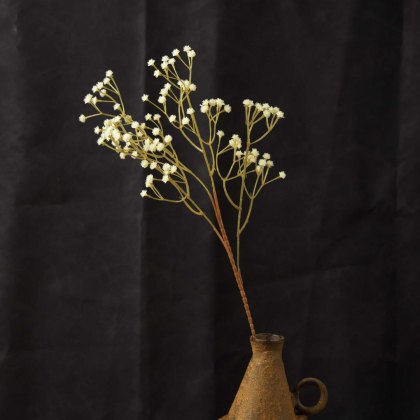 GYPSOPHILA spray 63cm