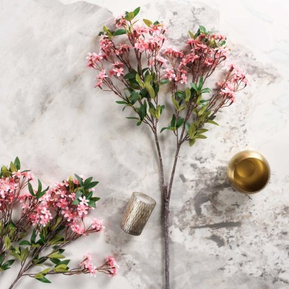 Prunus persica branch 91cm