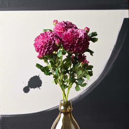 Pompon Dahlia Spray 68cm