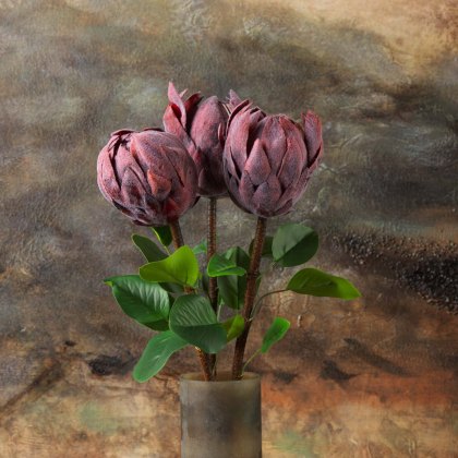 Protea Stem 73cm