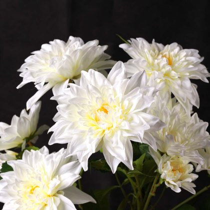 Waterlily Dahlia Spray 70cm
