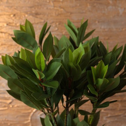 leaf spray 80cm
