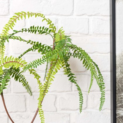 FERN BONSAI 90cm