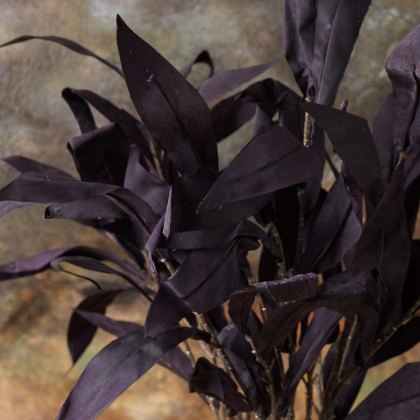 Autumnal Mango leaf spray 70cm