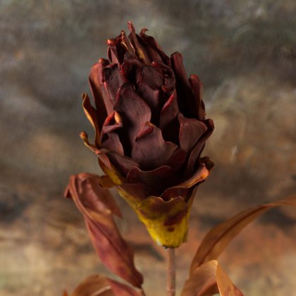Autumnal pineapple leaf stem 83cm