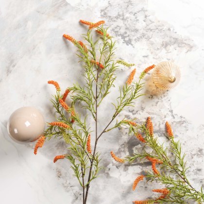 foxtail grass 104cm