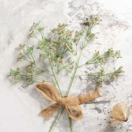 Gypsophila paniculata 68cm