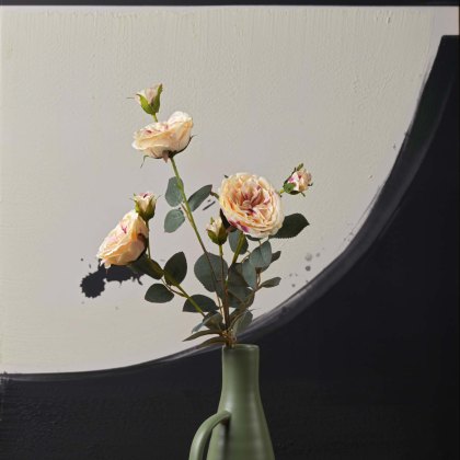 Feature Image 3