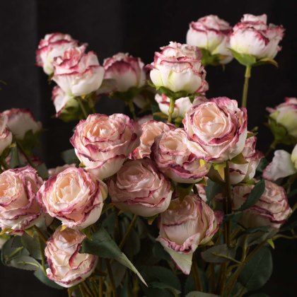 Rose 56cm