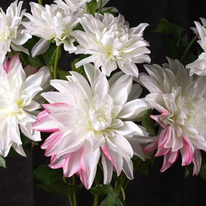 DAHLIA 86cm
