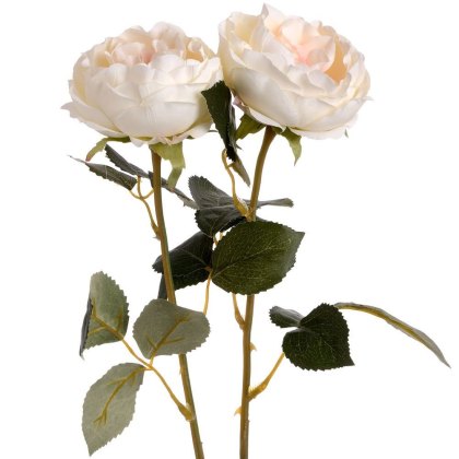 Feature Image 1
