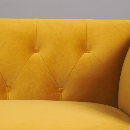 Feature Image 2