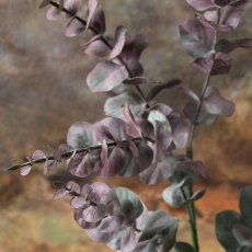 Eucalyptus spray 95cm
