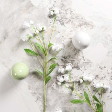 Dicentra spray 86cm
