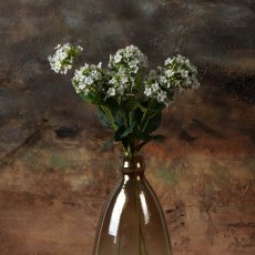 HYDRANGEA blooms 64cm