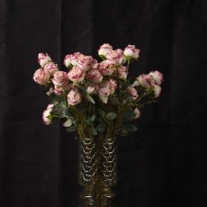 Rose 56cm