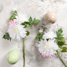 DAHLIA 79cm DAHLIA 79cm