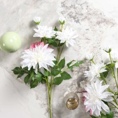 DAHLIA 86cm