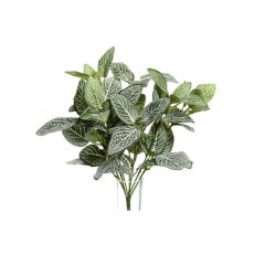 Artificial Fittonia Bush Artificial Fittonia Bush