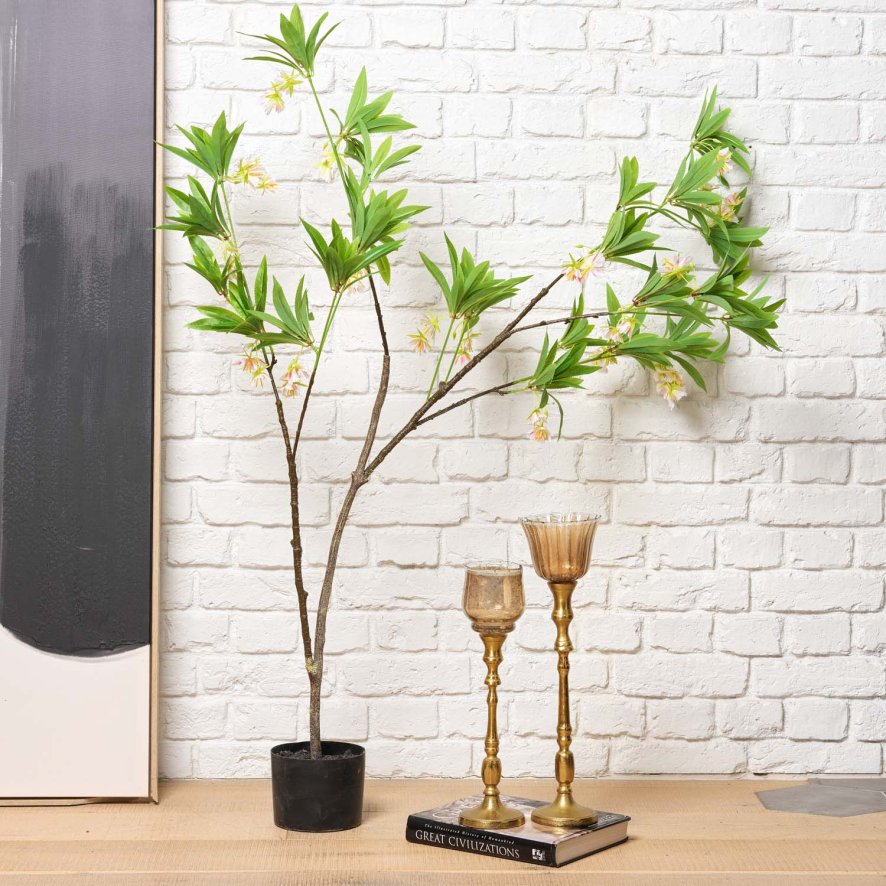 Woods HAINAN ELAEOCARPUS BONSAI 130cm