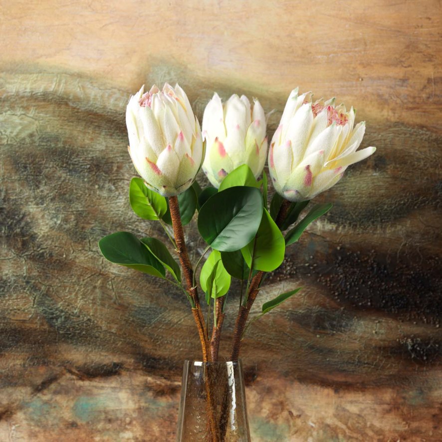 Woods Protea Stem  Open 68cm