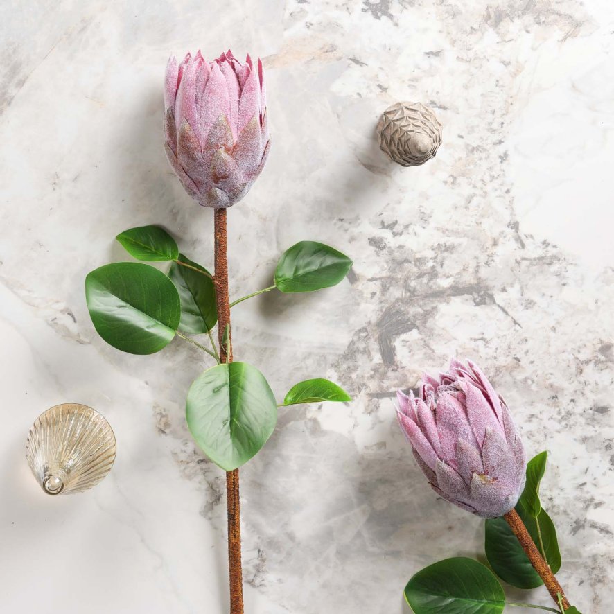 Woods Protea Stem  Open 68cm