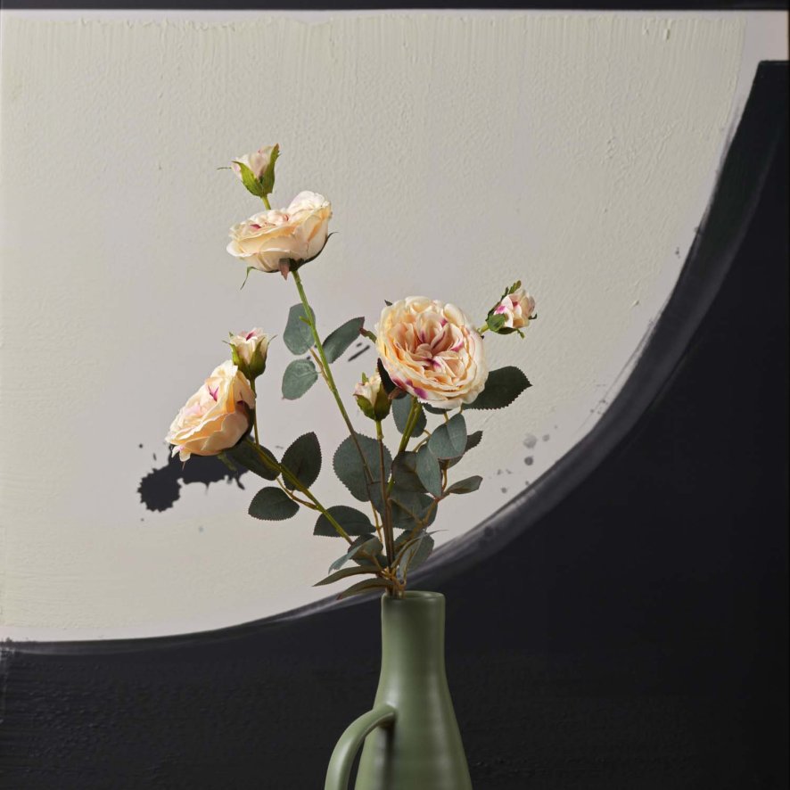 Woods Camellia Japonica 75cm