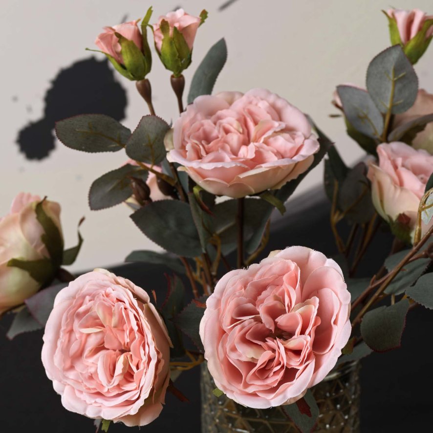 Woods Camellia Japonica 51.5cm