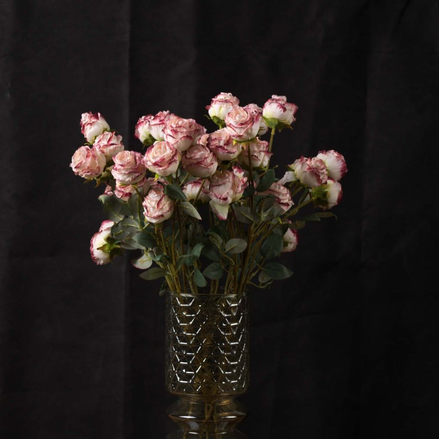 Woods Rose 56cm