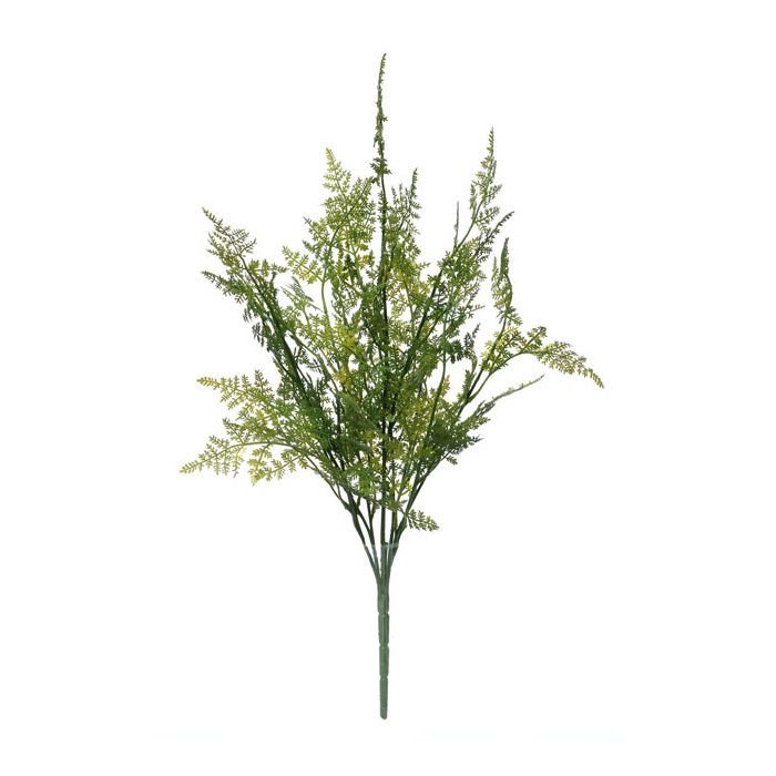 An image of Artificial Asparagus Fern