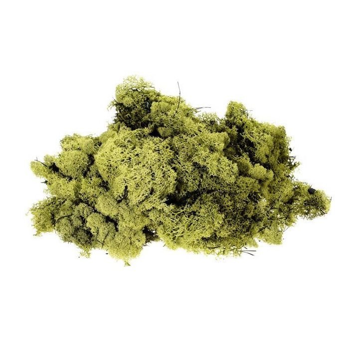 Woods Finland Moss Olive 500G