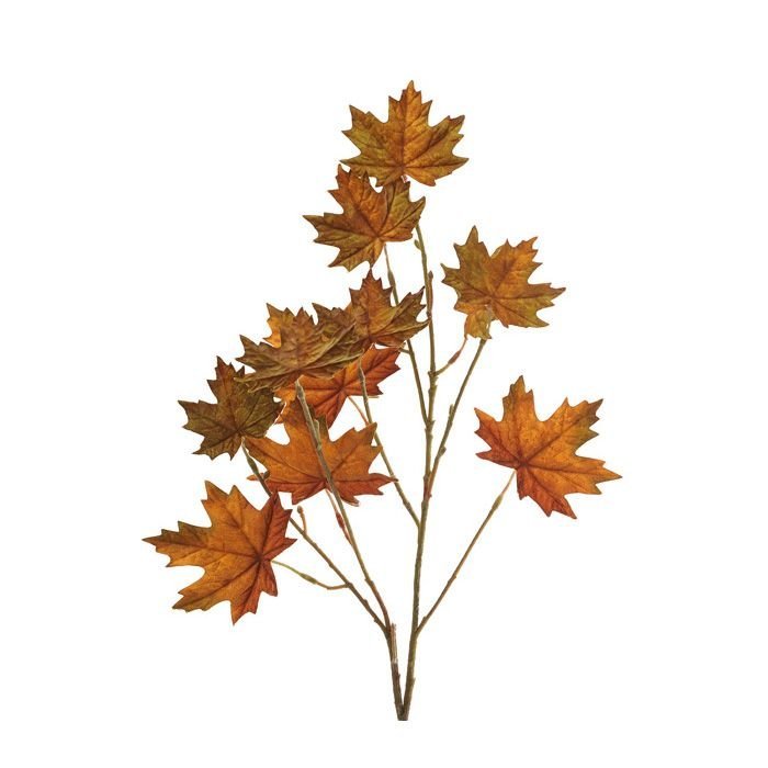 Maple Leaf Spray Amber