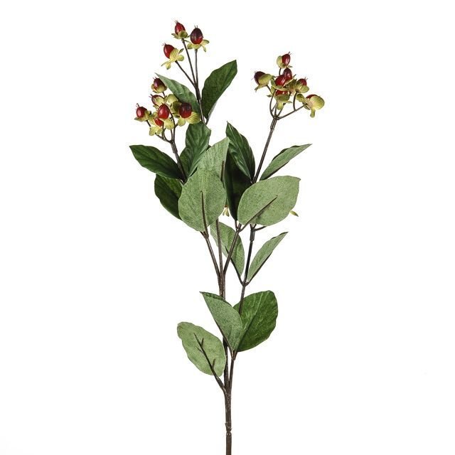 Woods Hypericum Red 72cm