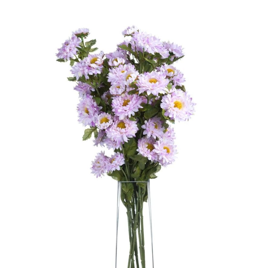 An image of Wild Lilac Dahlias