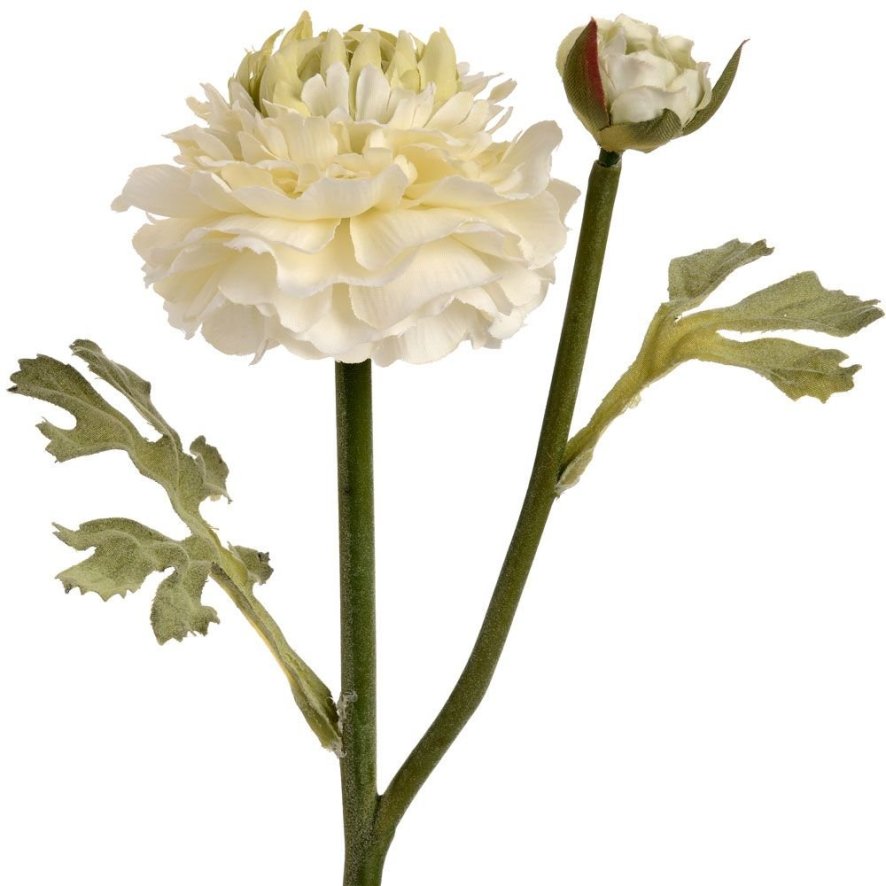 Woods Green Ranunculus Spray