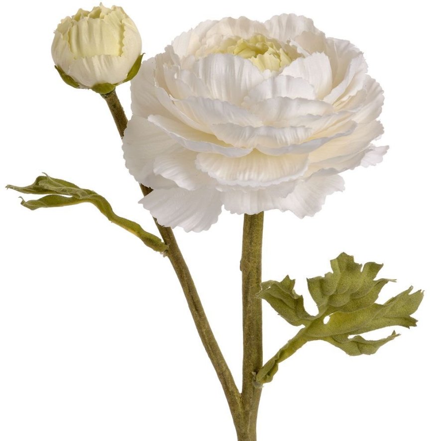 Woods White Ranunculus Spray